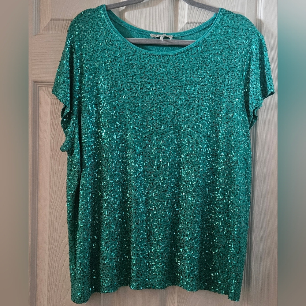 Dress Barn Mini Sequin Blouse